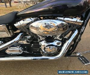 2005 Harley-Davidson Street