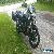 Triumph: Tiger for Sale