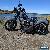 Harley-Davidson: Softail for Sale