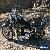 1993 Harley-Davidson Softail for Sale