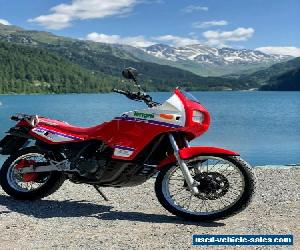 1989 Kawasaki KLR