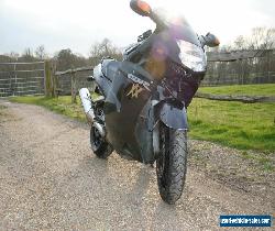 honda blackbird cbr1100xx for Sale