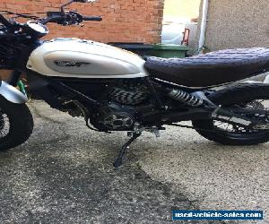 Ducati scrambler classic 803cc 2017