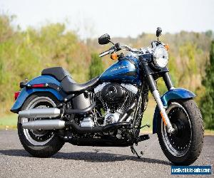 2014 Harley-Davidson Softail