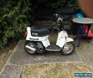 Honda Squash Miniature MotorScooter