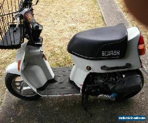 Honda Squash Miniature MotorScooter