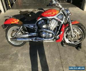 HARLEY DAVIDSON VROD 100TH ANV 01/2002 MODEL 20352KMS PROJECT MAKE AN OFFER for Sale