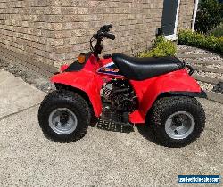 Suzuki Lt50 for Sale