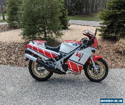 1985 Yamaha RZ500 for Sale