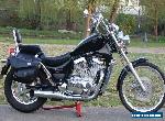 Suzuki VS800 iNTRUDER for Sale