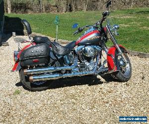 2006 Harley-Davidson Softail