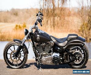 2014 Harley-Davidson Softail