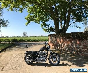 Harley Davidson Sportster