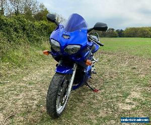 2001 Suzuki SV650S (SV 650 S) Curvy Body