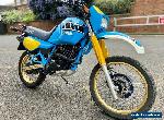 Yamaha Tenere XT 600 55w 1985 - Rare Model for Sale