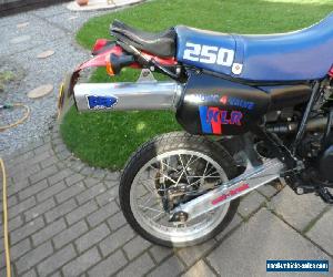 1993 KAWASAKI KLR250 KL250 IN VERY GOOD CON EX STARTER AND RUNNER 3 DAY AUCTION