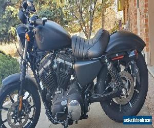 2019 Harley-Davidson Sportster for Sale