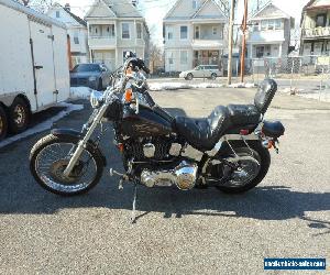 1991 Harley-Davidson Softail