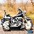 2003 Harley-Davidson Softail for Sale