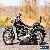 2003 Harley-Davidson Softail for Sale