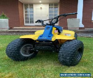 LT50 Suzuki Kids Quad Bike