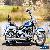 2009 Harley-Davidson Softail for Sale