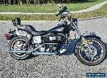 1982 Harley-Davidson Sturgis FXB for Sale