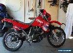 Kawasaki KLR650 for Sale