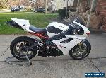 2011 Triumph Daytona for Sale