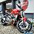 Ducati: Monster for Sale