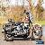 2014 Harley-Davidson Softail for Sale