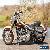 2014 Harley-Davidson Softail for Sale