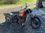 1967 Harley-Davidson Softail for Sale