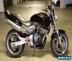 Honda CB250 Hornet LAMS Learner motorbike streetfighter CBR250RR powered rego for Sale