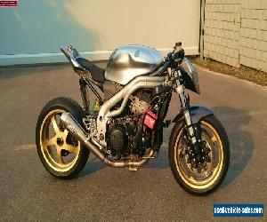 Triumph Daytona cafe racer, no speed triple, streetfighter, caferacer