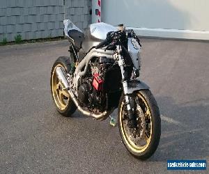 Triumph Daytona cafe racer, no speed triple, streetfighter, caferacer