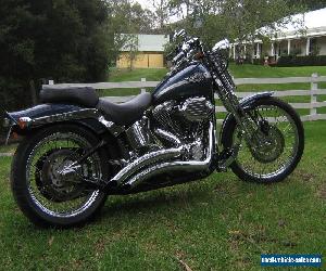 HARLEYDAVIDSON SOFTAIL SPRINGER 2003' ANNIVERSARY MODEL