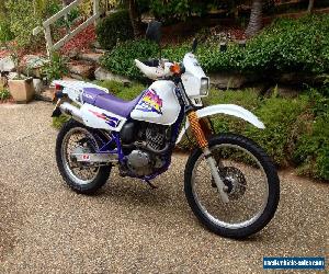 Suzuki DR200se