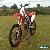 HONDA CRF 450, 2007, TALONS, PRO CIRCUIT, RMZ, KXF,YZF, BLING for Sale