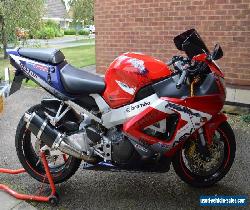 honda cbr900 for Sale