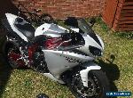 yamaha r1 big bang for Sale