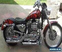 Harley Davidson Sportster Factory 1200cc stunning condition for Sale