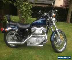 Harley Davidson Sportster 883 XL 53C Custom for Sale