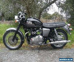 2013 TRIUMPH BONNEVILLE T100, AWESOME CONDITION, RIDES LIKE NEW! PRICED TO SELL for Sale