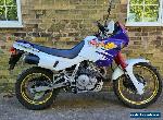 honda dominator nx650  for Sale