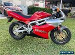 Bimota bb1 1995  for Sale