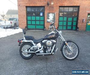 1987 Harley-Davidson Softail