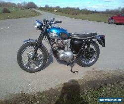 1960 Triumph T100R / Daytona special 500cc twin for Sale