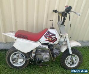 Honda Z50R 1999 for Sale