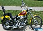 Harley-Davidson: Softail Custom for Sale